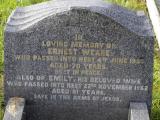 image of grave number 950162